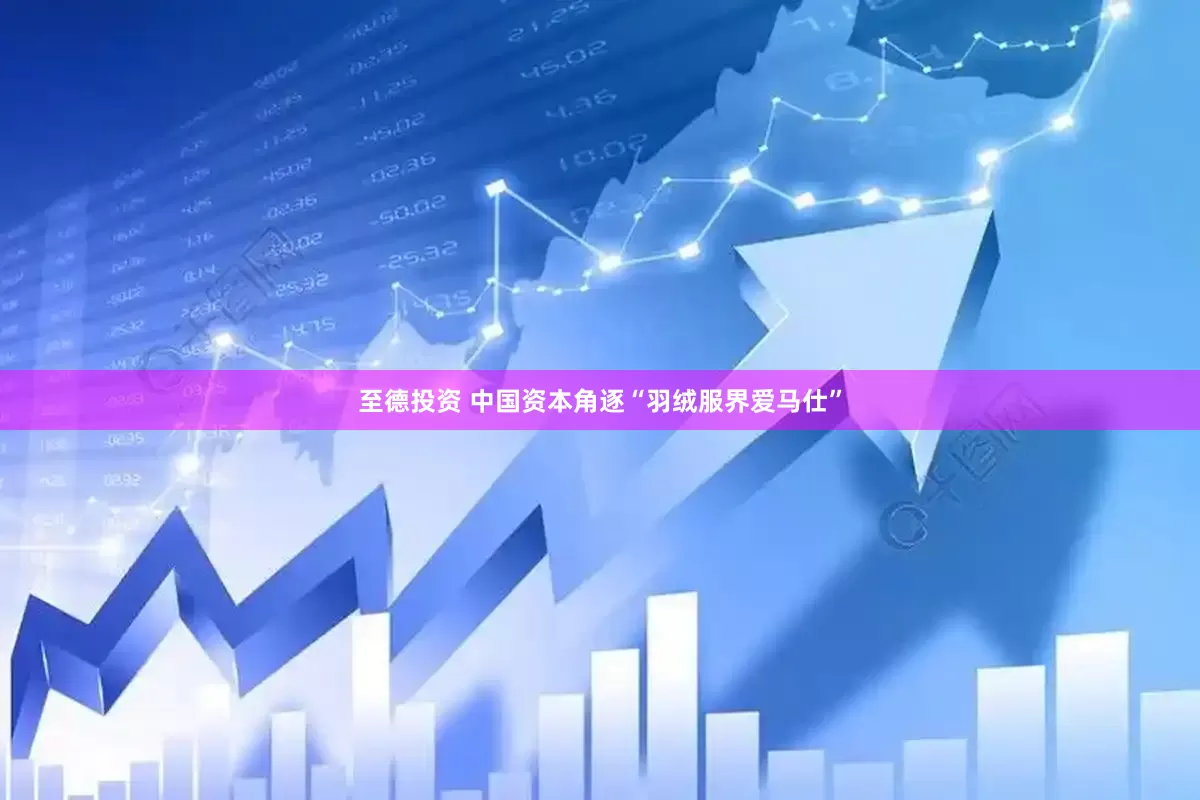 至德投资 中国资本角逐“羽绒服界爱马仕”