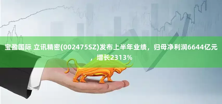 宝盈国际 立讯精密(002475SZ)发布上半年业绩，归母净利润6644亿元，增长2313%